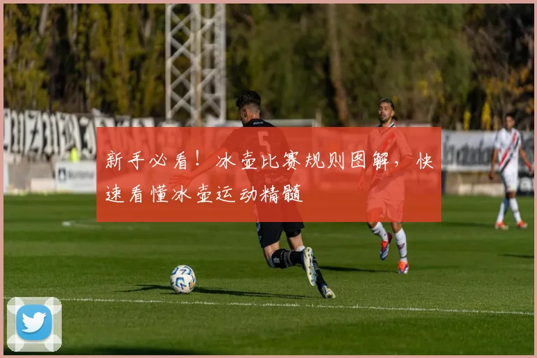 新手必看！冰壶比赛规则图解，快速看懂冰壶运动精髓