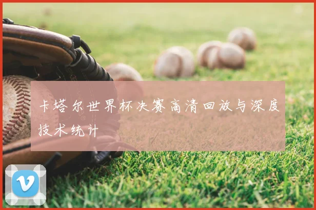 卡塔尔世界杯决赛高清回放与深度技术统计
